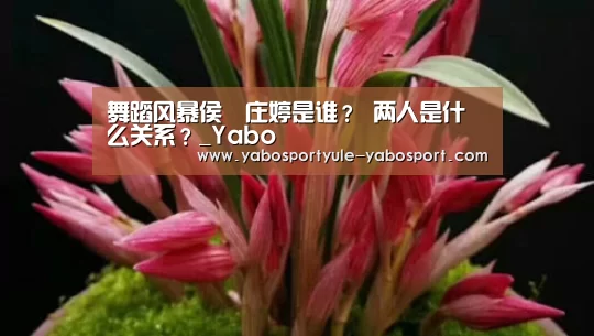 亚博娱乐