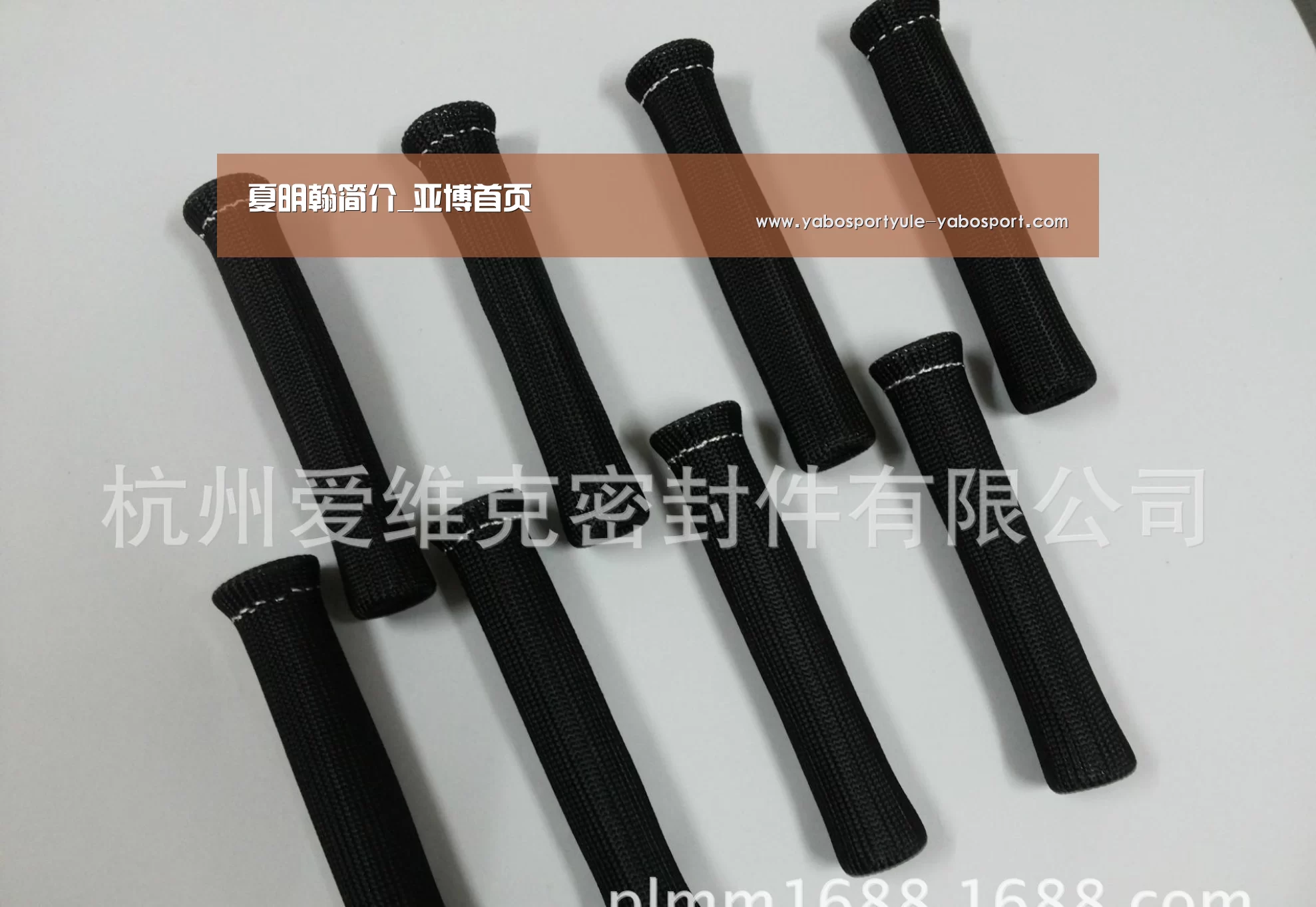 夏明翰简介_亚博首页(图2) 亚博体育