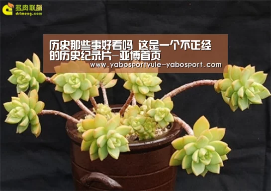 亚博娱乐
